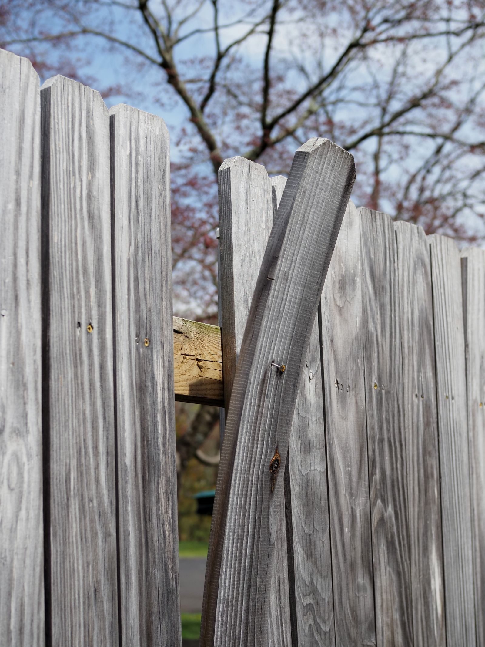Weathered timber fence boards needing replacement